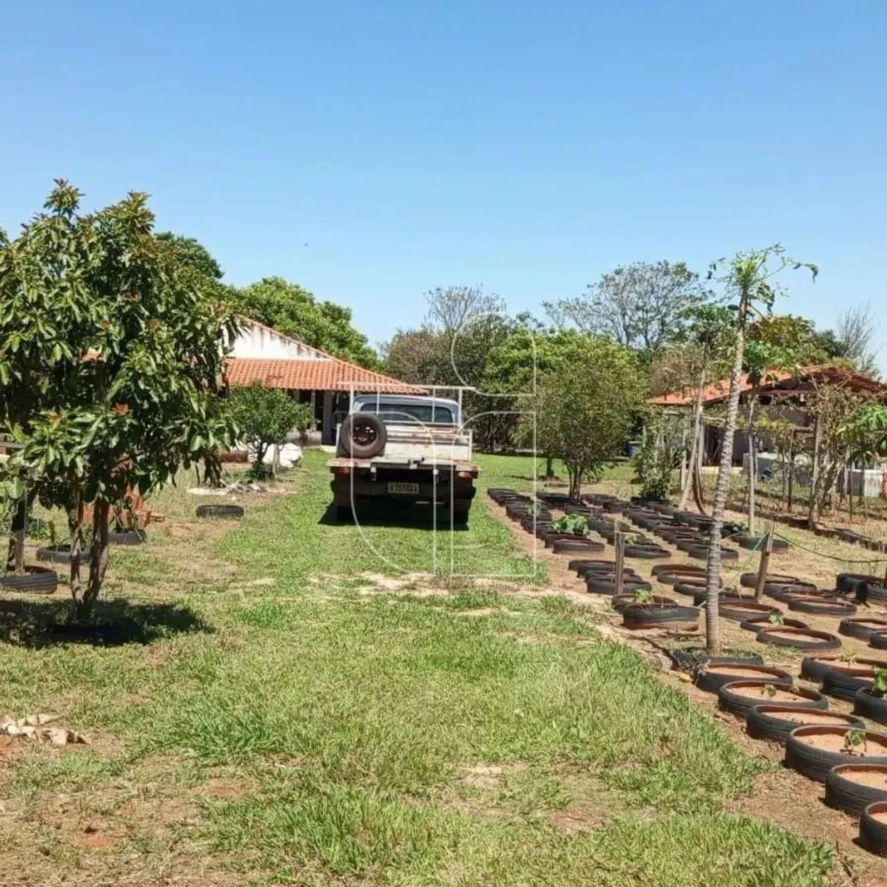 Chácara em Sítios de Recreio Terras da Boa Vista - Marília - Foto 2