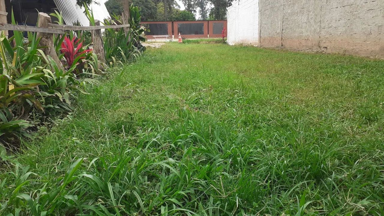 Foto - São Paulo - Balneário São Francisco