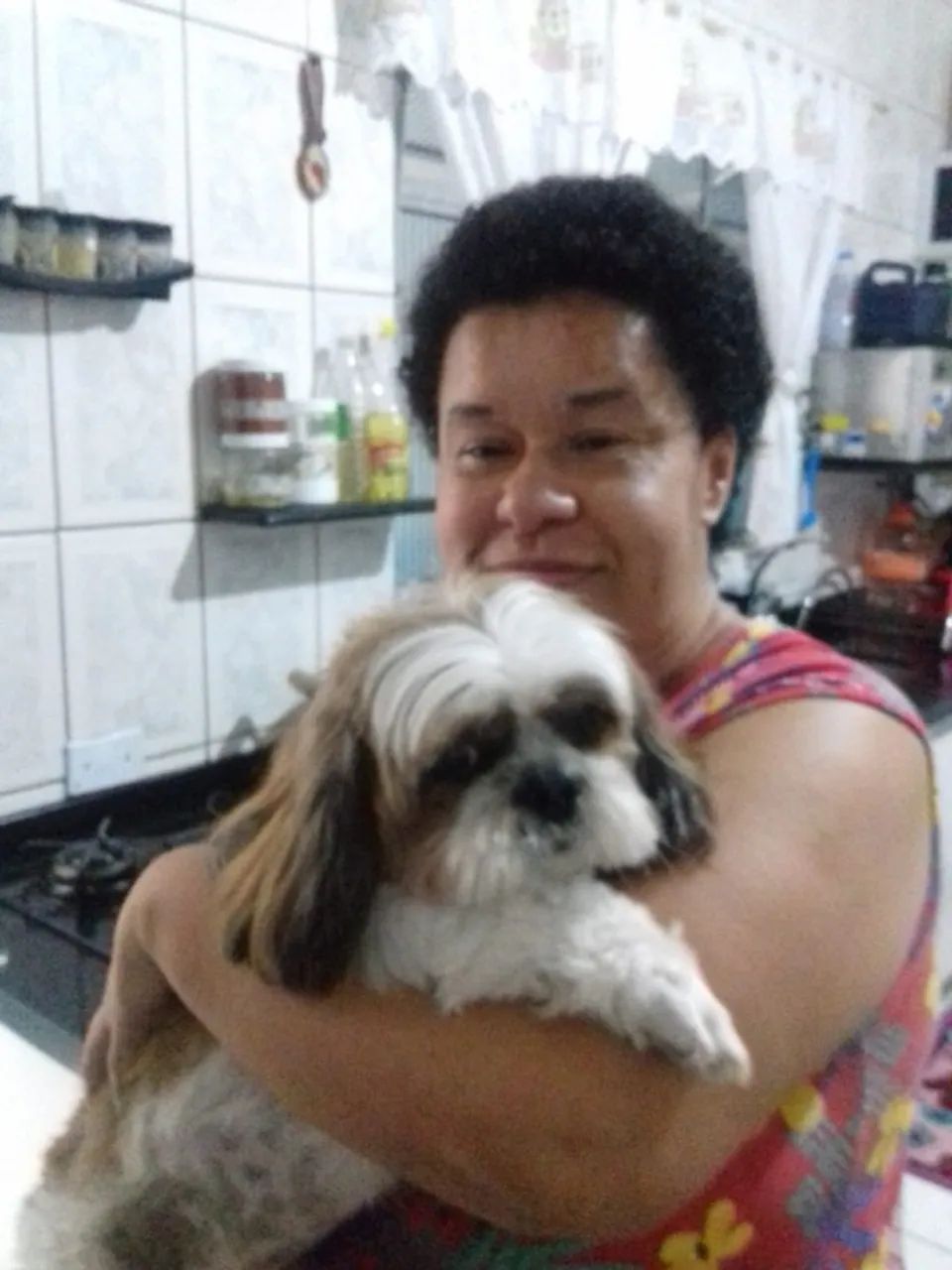 Cuidadora de cães e gatos no ABC - Foto 4