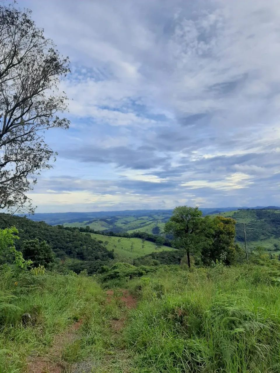 Terreno 2.000 M² em Itatiaiuçu/MG - Foto 4