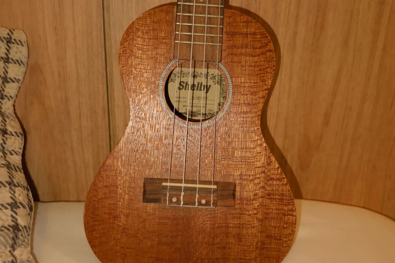 Ukulele (concert)  - Foto 5