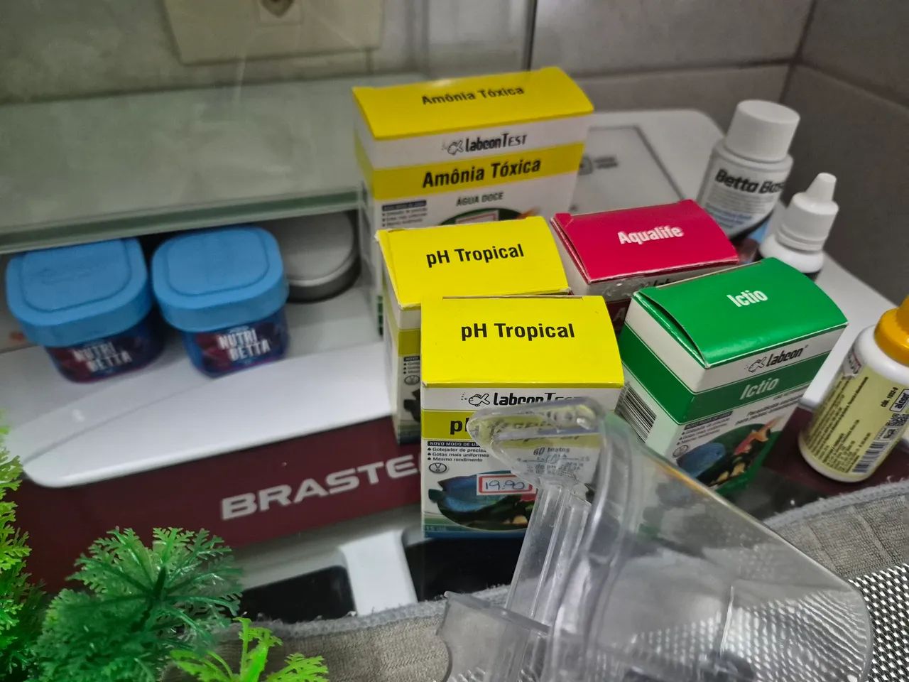 Aquário e acessórios - Foto 4