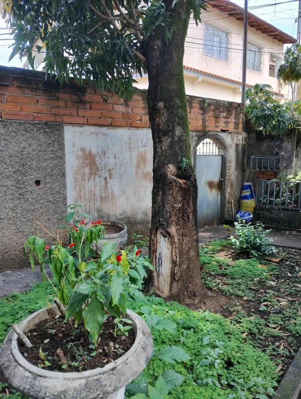 `Vendo casa em Maruípe - Foto 5