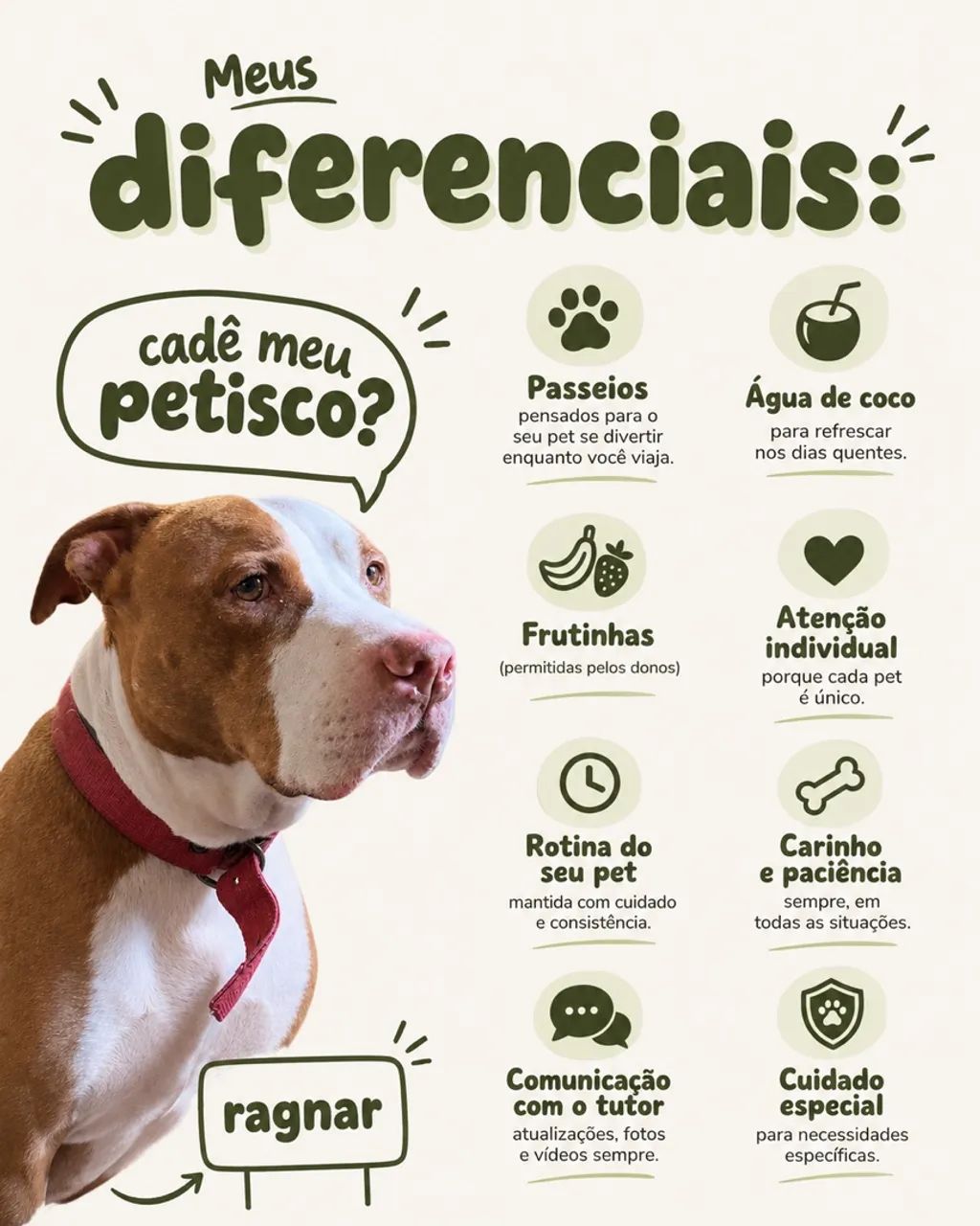 Pet Sitter | Hospedagem, Creche e Passeio para Cães - Foto 3