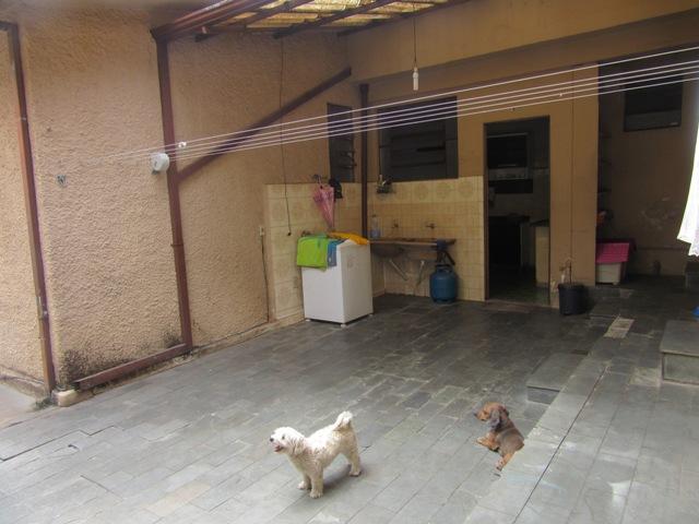 Casa à venda com 3 dormitórios em Caiçara, Belo horizonte cod:4083 - Foto 15
