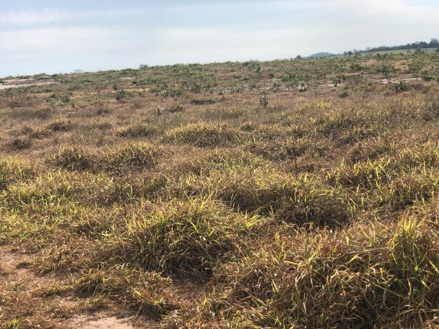 12 anos pagar, 1380 Hectares, 1000 Hectares pastagens, aberta, Limpa, Pecuária Comodoro-MT - Foto 2
