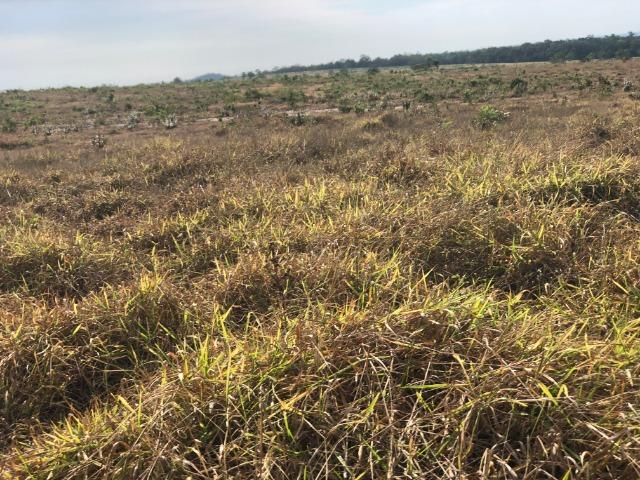 12 anos pagar, 1380 Hectares, 1000 Hectares pastagens, aberta, Limpa, Pecuária Comodoro-MT