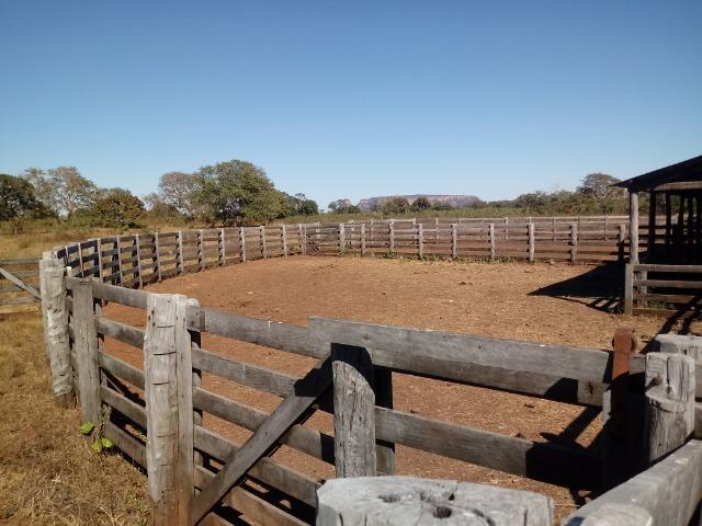 Fazenda de 1940 hectares, ha 60 km de Cuiabá, na região do manso - Foto 4