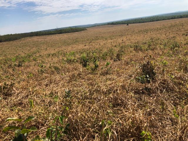 12 anos pagar, 1380 Hectares, 1000 Hectares pastagens, aberta, Limpa, Pecuária Comodoro-MT - Foto 6