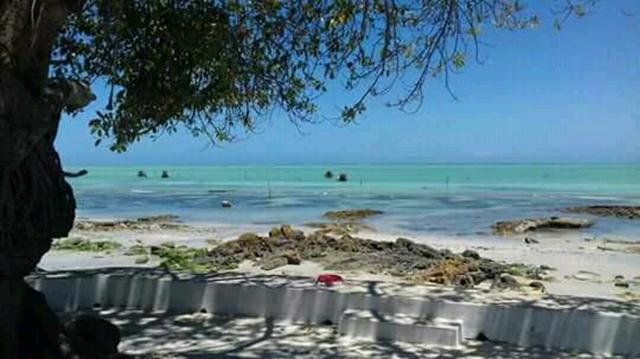 Oportunidade de ouro terreno na praia de ponta de pedras!! - Foto 19