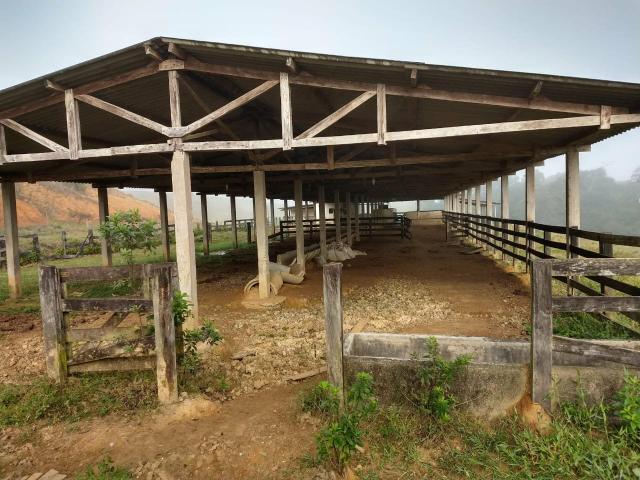 Fazenda completa - Foto 11