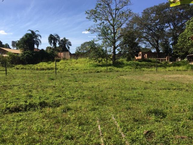 Chácara Setor Eli Forte - Goiânia-Oportunidade - Foto 3