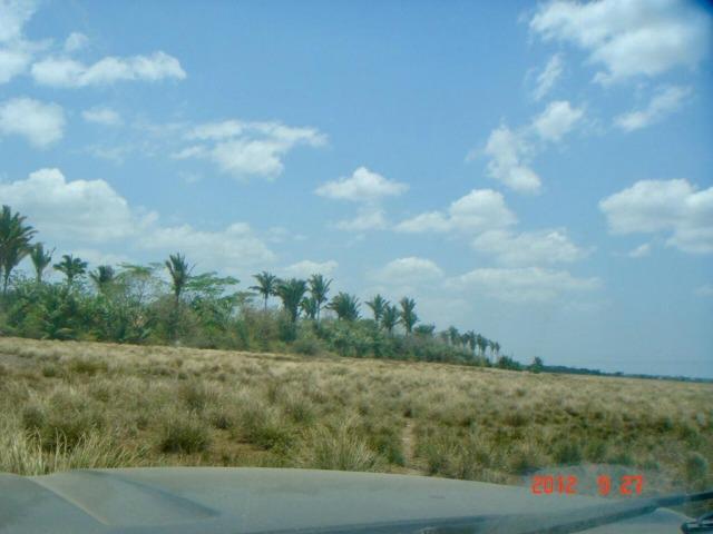 Vende-se Fazenda em Santa Rita - Foto 2