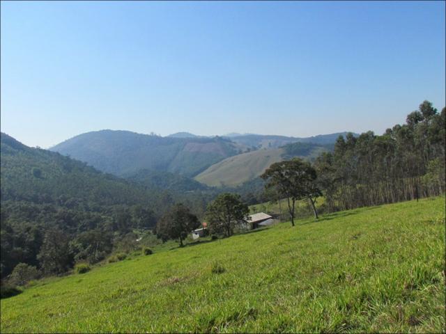 Fuja da cidade terreno em meio a natureza - Foto 2