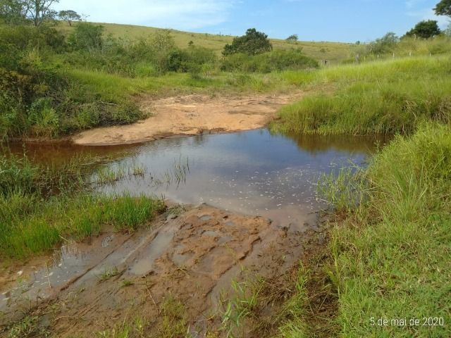 Venda-se está propriedade de 34 Alqueires no Estado do Rio de Janeiro RJ - Foto 19