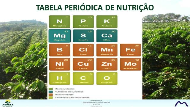 Adubo fertilizante - Foto 4