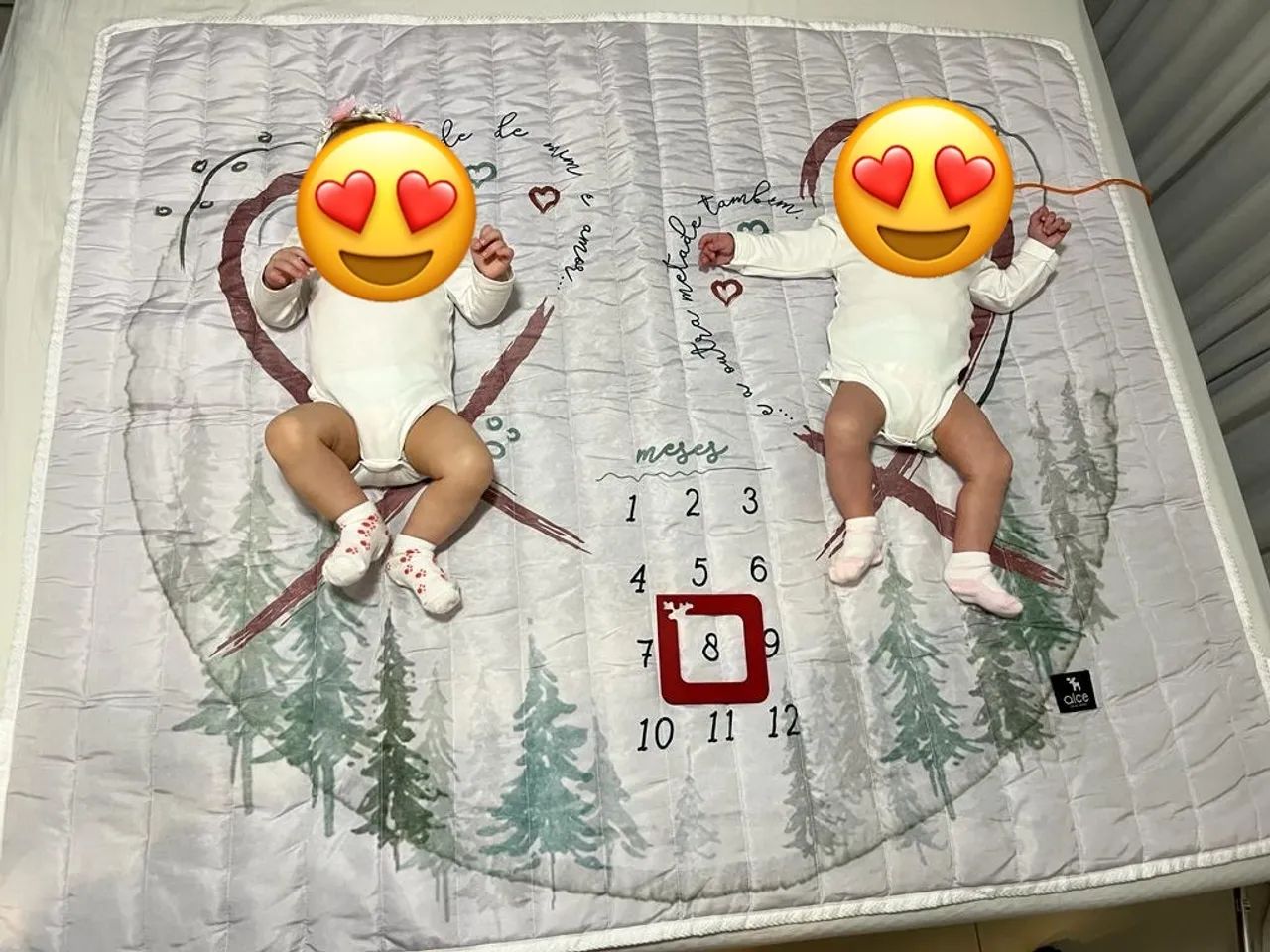 Tapete Mesversario Gêmeos 