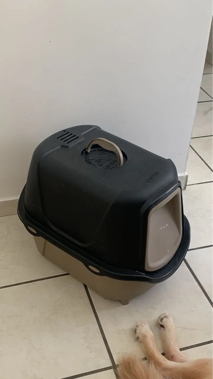 Caixa de areia para gatos