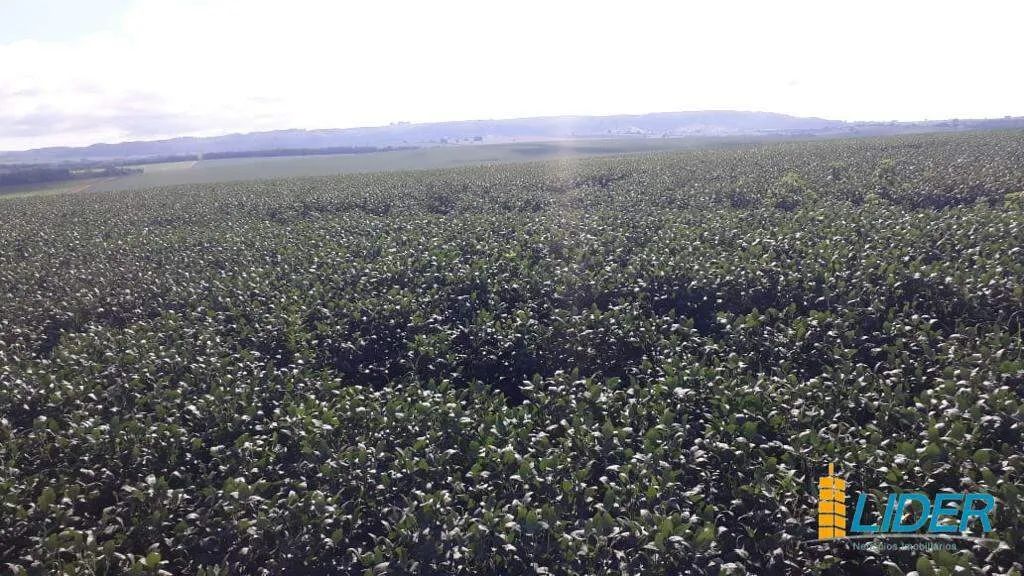 Fazenda à venda, AREA RURAL NO TRIANGULO MINEIRO - MG - Uberlândia/MG - Foto 4