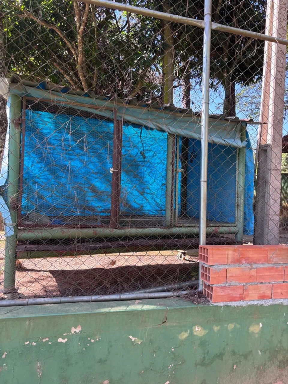 Abrigo/Tenda para animais em bom estado - Foto 2