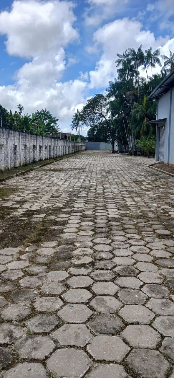 2 Galpõoes e escritório com uma área total de 3.920 m² 1 com câmara fria . - Foto 13