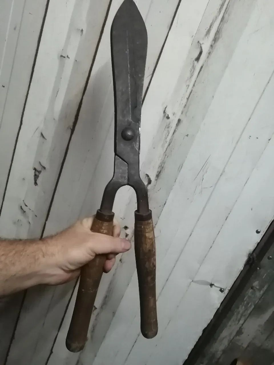 Tesoura de jardim corneta antiga - Foto 2