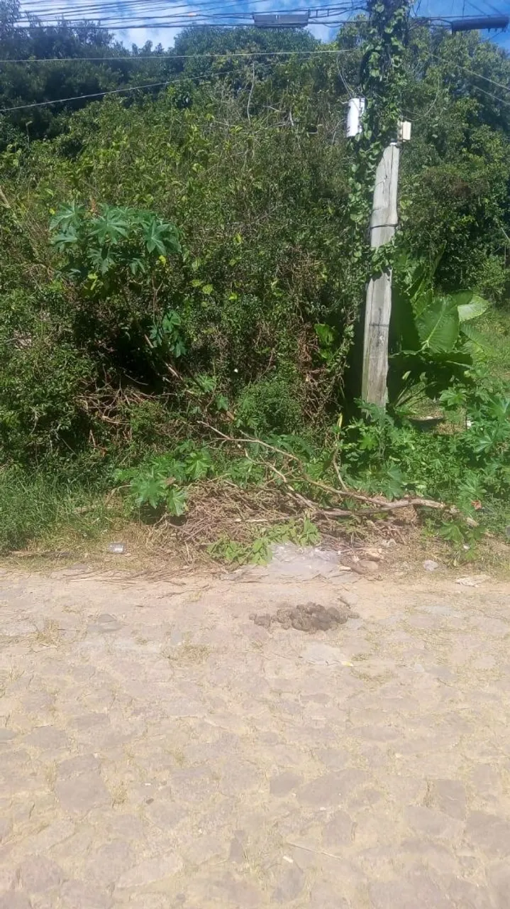 Terreno 12x30 escriturado na 36 de Viamão