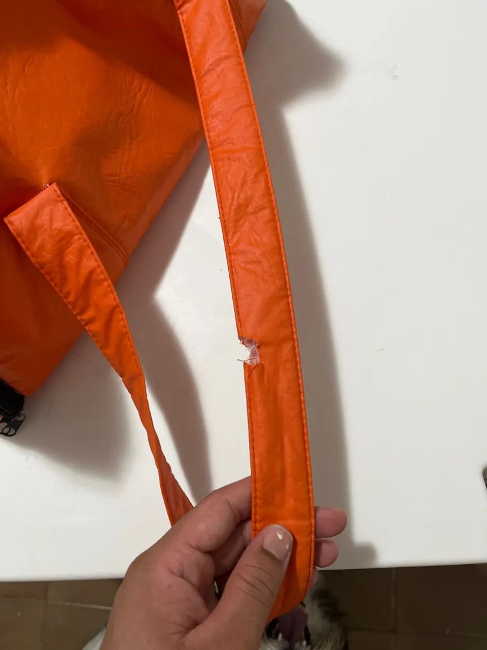 Transporte para Pet - Padrão Gol - Até 10kg - Foto 3