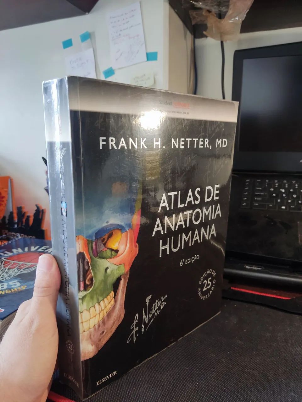 Atlas de Anatomia Humana 6ª edição - Frank H. Netter - Foto 3