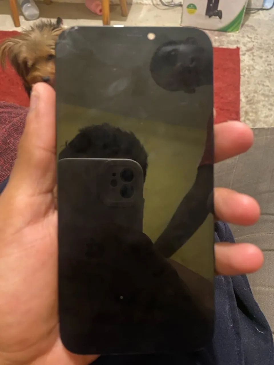 Tela iPhone 12 Pro  - Foto 4