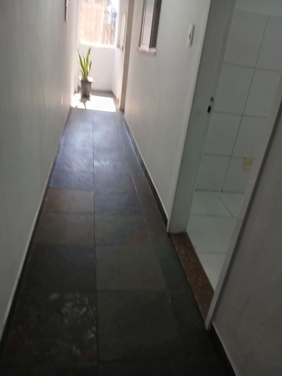 Foto - Rio de Janeiro - Gardênia Azul