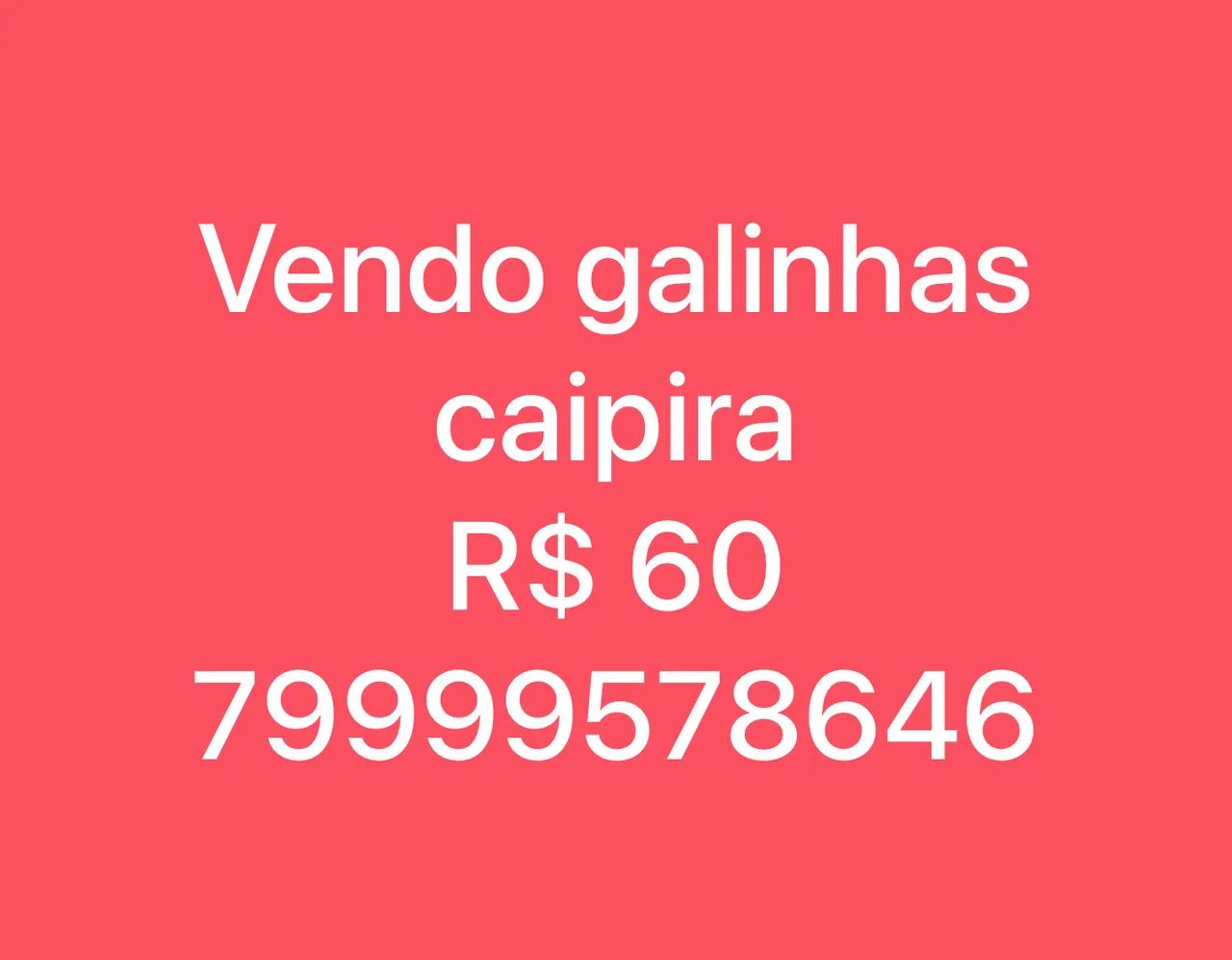 galinhas caipira