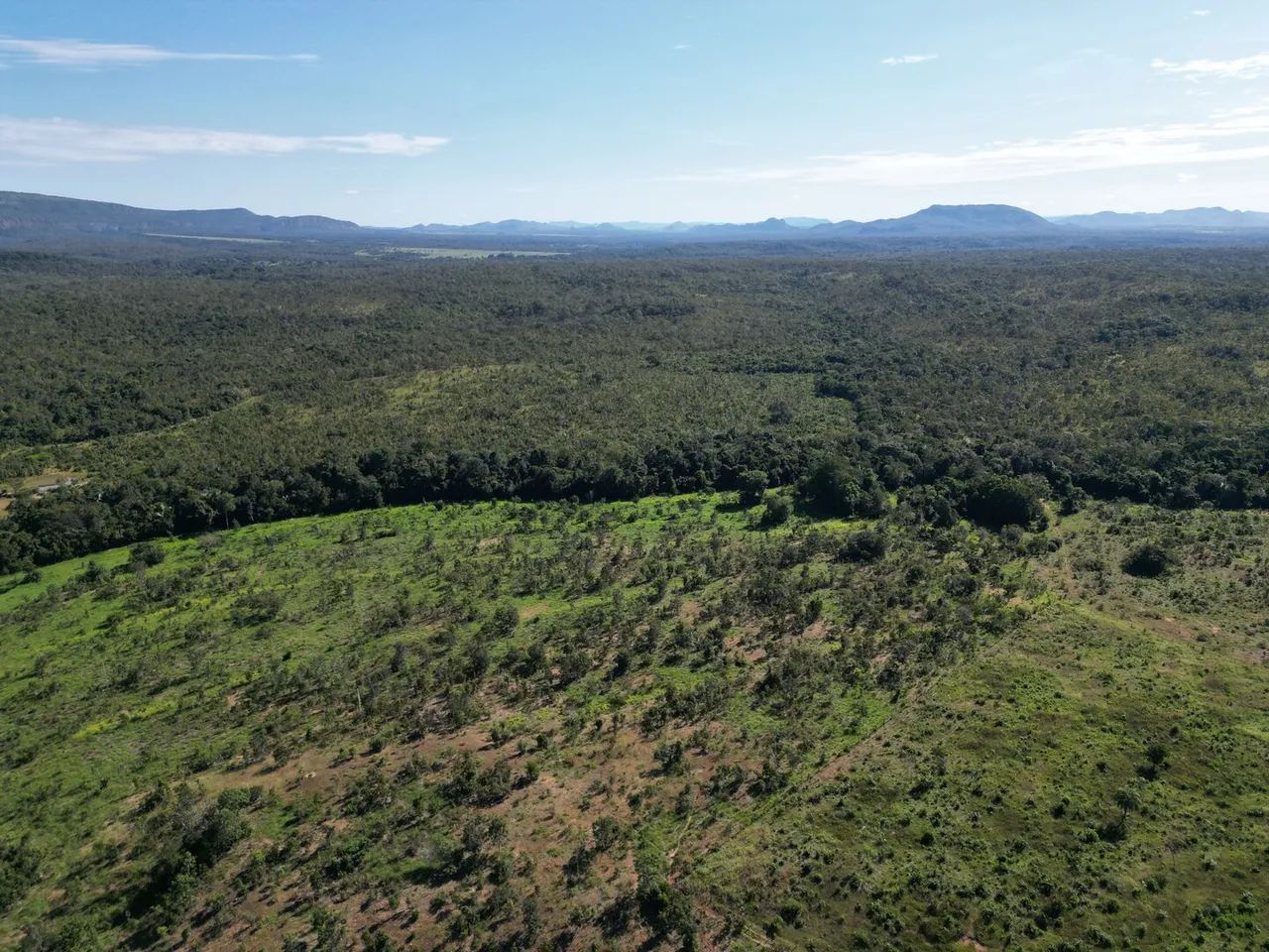 vendo fazenda na regiao de natividade fazenda de dupla aptidão. - Foto 4