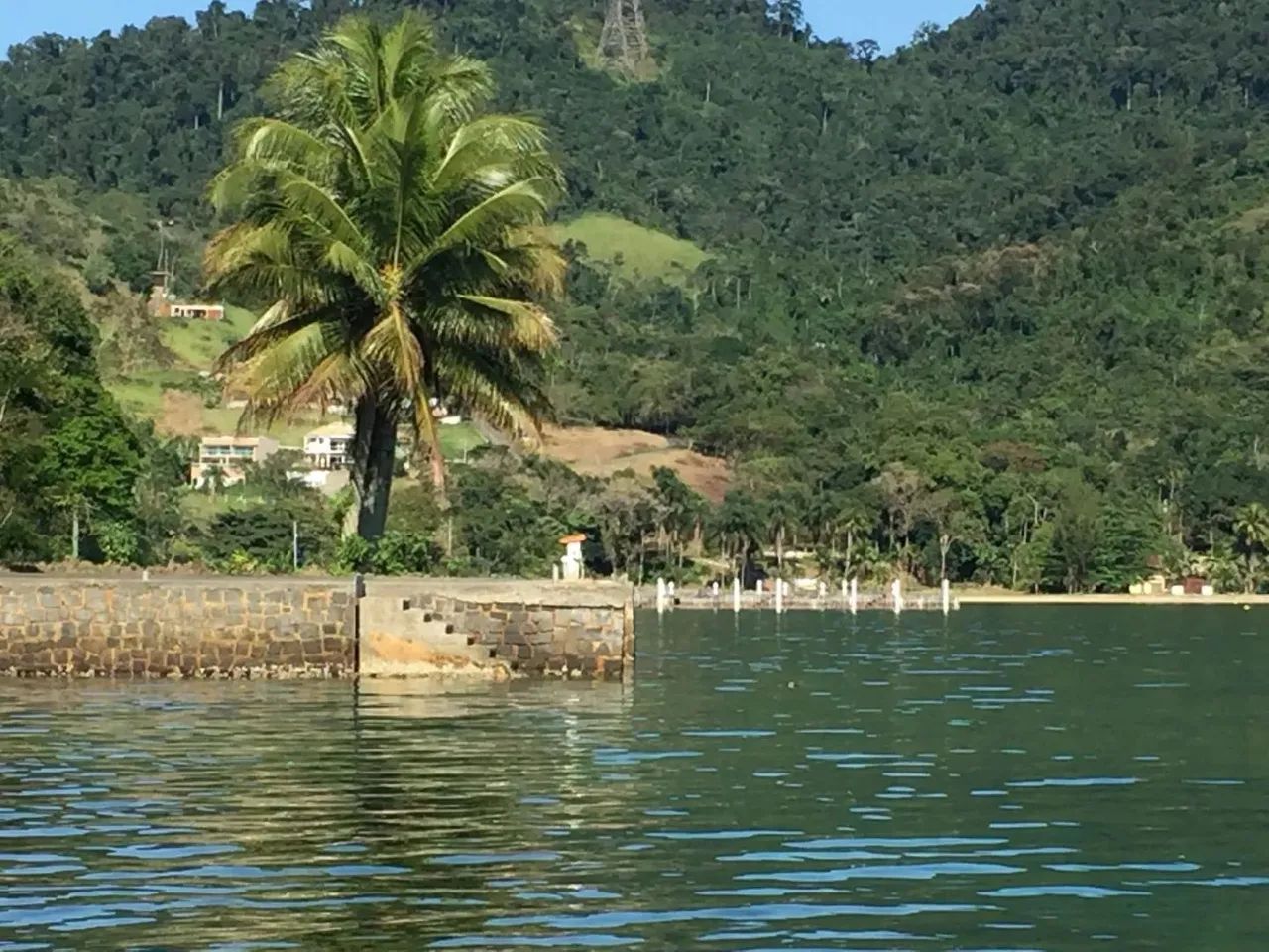 Chácara - / Rural / Frade (Cunhambebe) - Foto 8