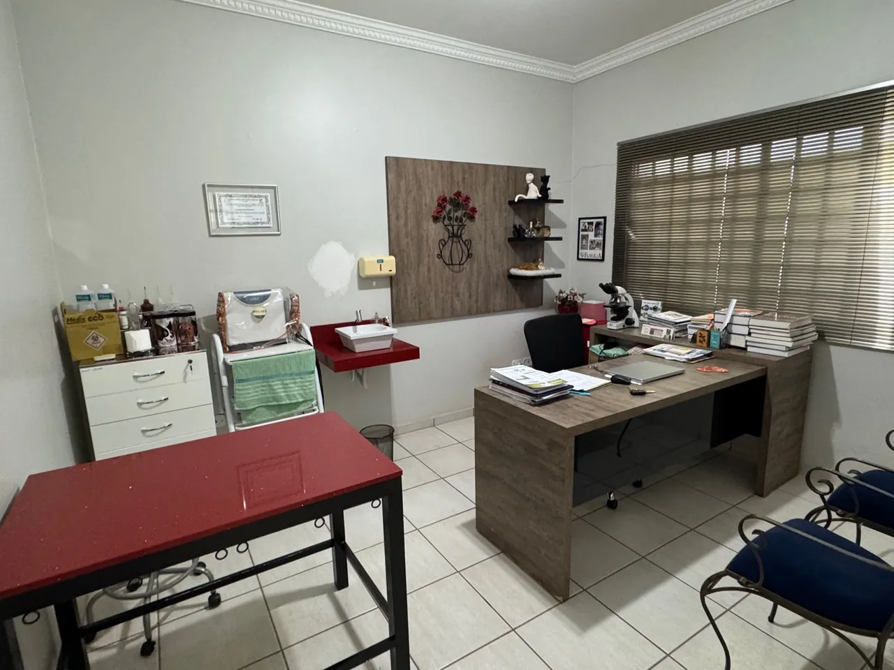 Clínica veterinária em Paranavai -Pr