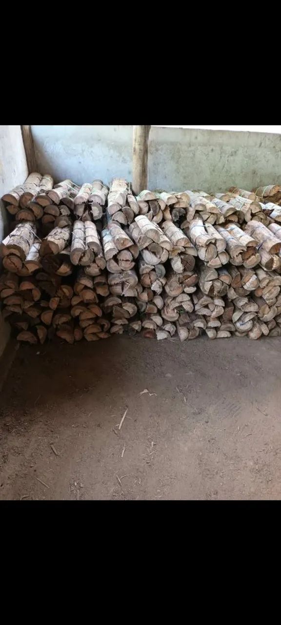 Lenha e carvão eucalipto  - Foto 5