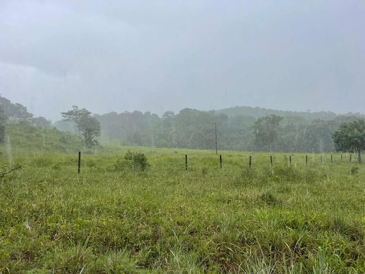 Fazenda boa disponível  - Foto 3