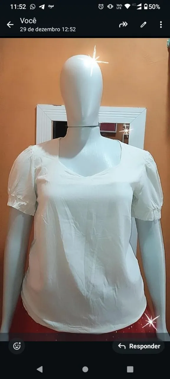 Vendo todas essas Blusa Plus Size por 210 NÃO FAÇO ENTREGA