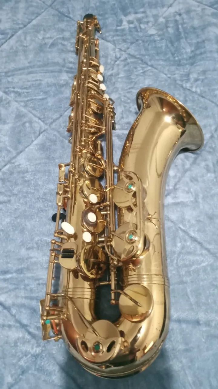 Tenor Kashima - Icaraí - Foto 2