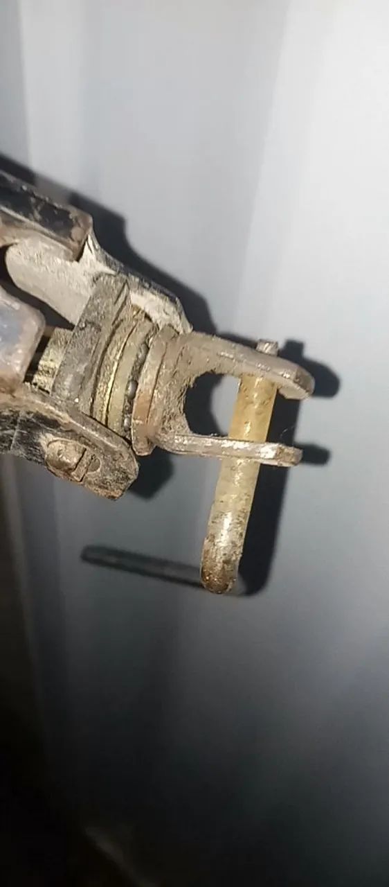 Macaco de carro  - Foto 2