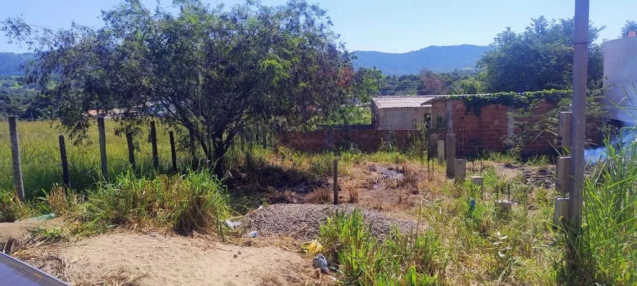 Foto - Maricá - Pindobas