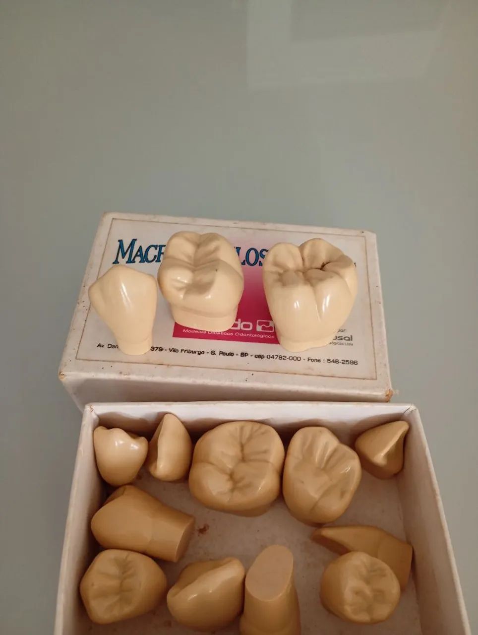 Escultura de dentes odontológico  - Foto 3