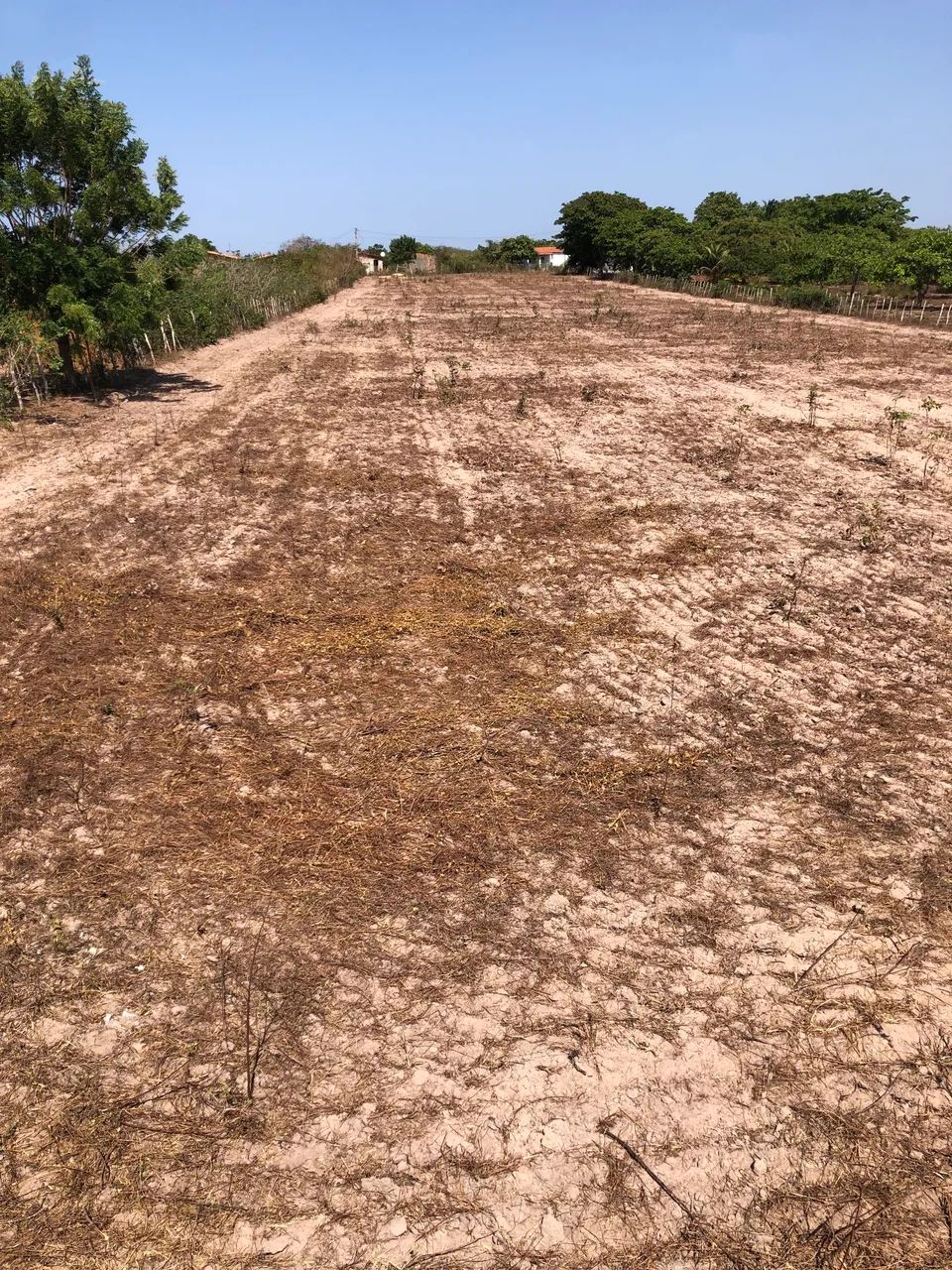 TERRENO 40mX190m TRAIRI CE - Foto 5