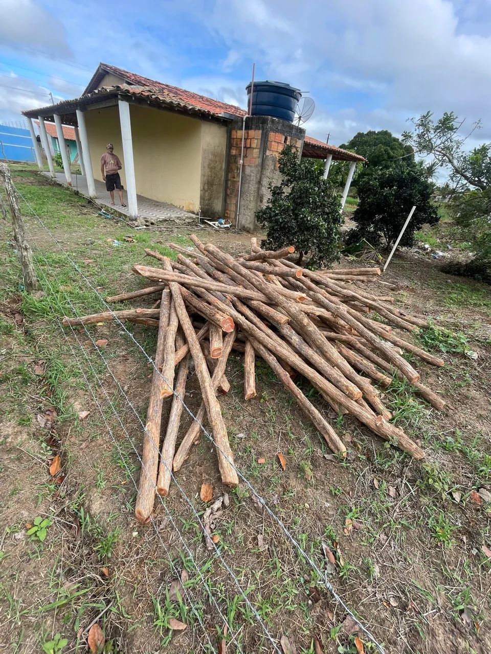 MADEIRAS TODOS OS TIPOS  - Foto 4