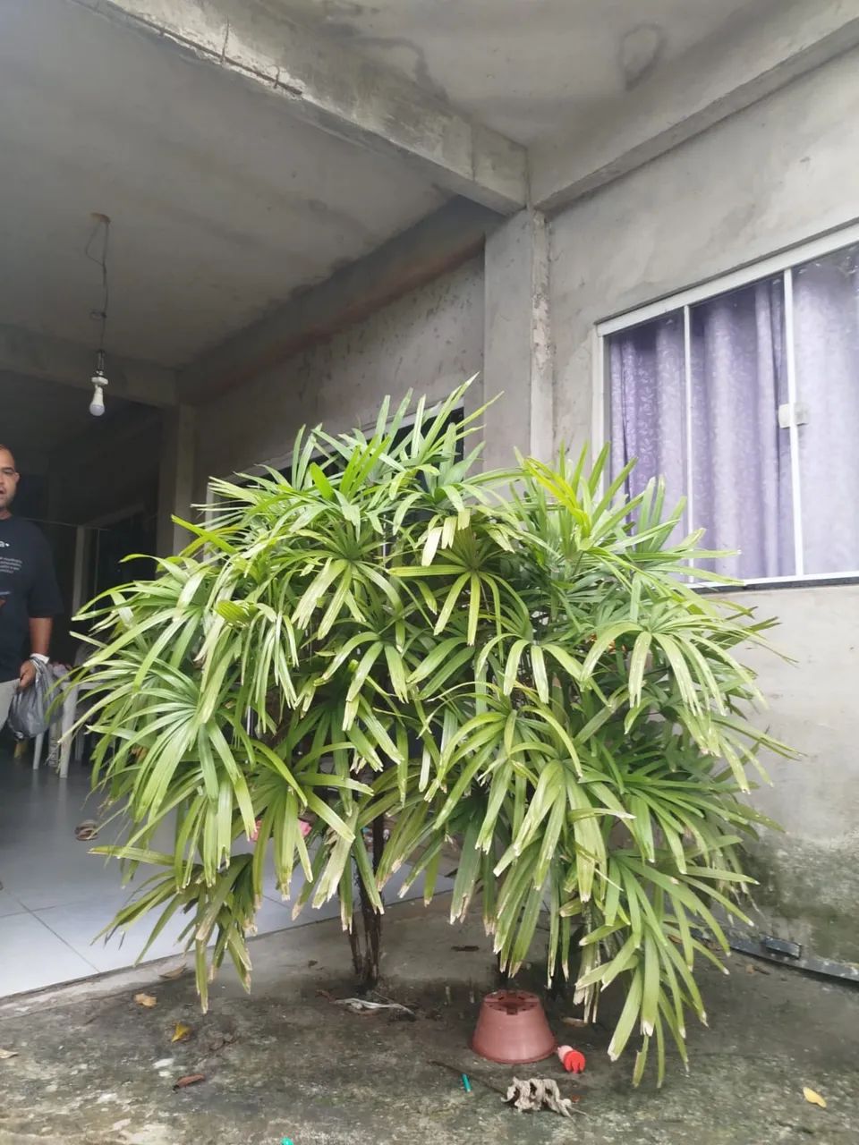 Vende se casa com 2/4 com suíte e banheiro social - Foto 5