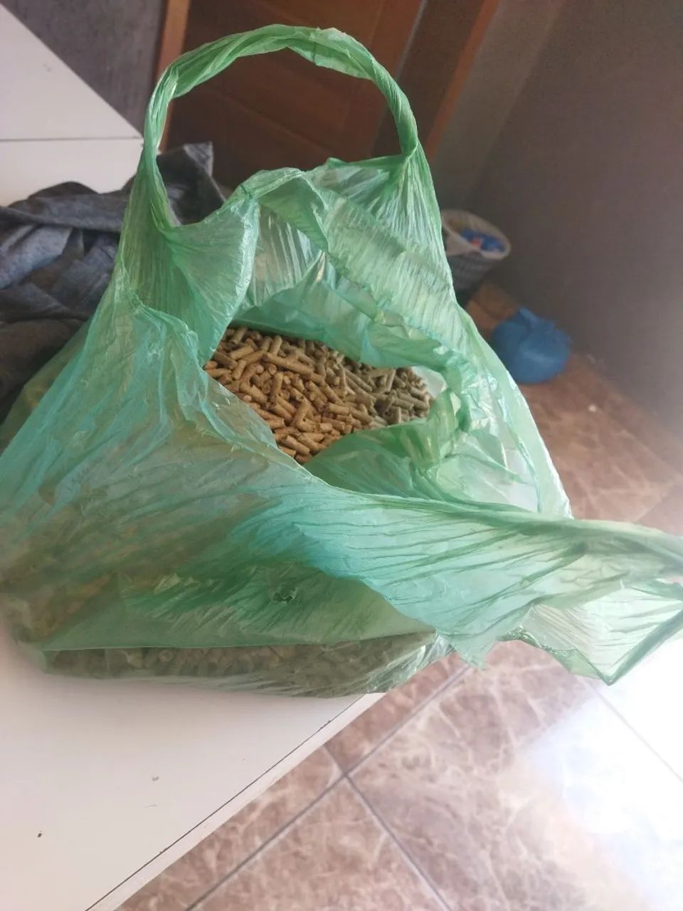 Vende-se porquinhos da índia  - Foto 4
