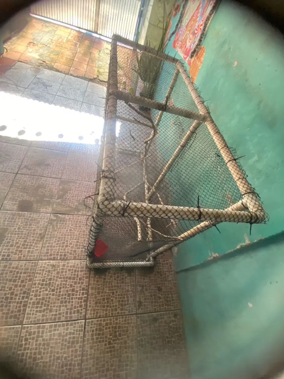 "Para- Despega- Gaiola grande de Cano Pvc tamanho 143 por 120 de - Foto 6
