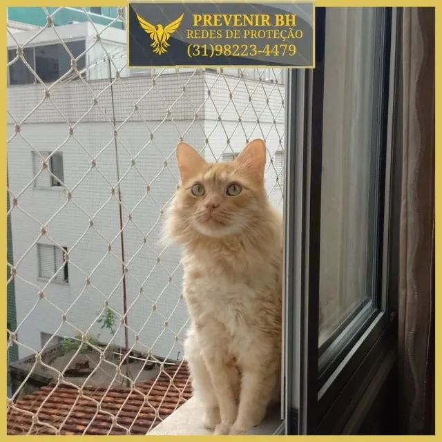 tela para gatos