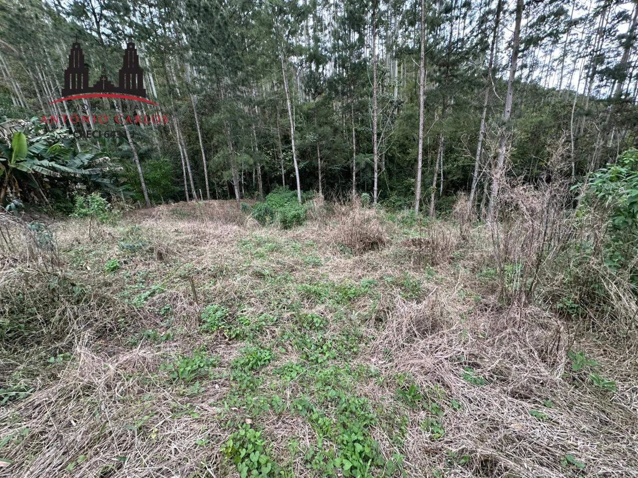 Sítio à venda no Egito, um refúgio em meio à natureza! - Foto 4