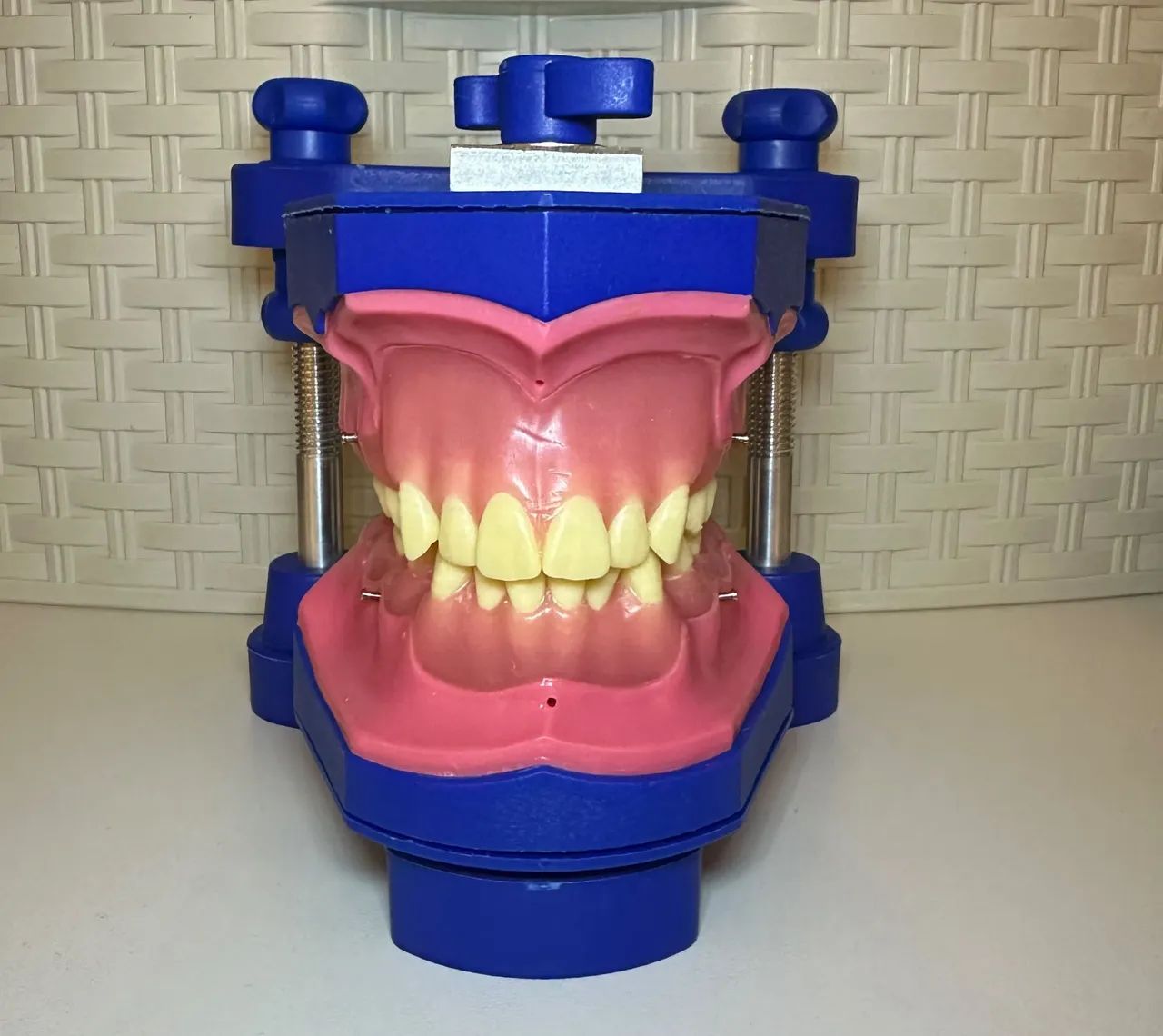 Manequim OrtoArt - Typodont Completo + Mini-Implante<br> - Foto 4